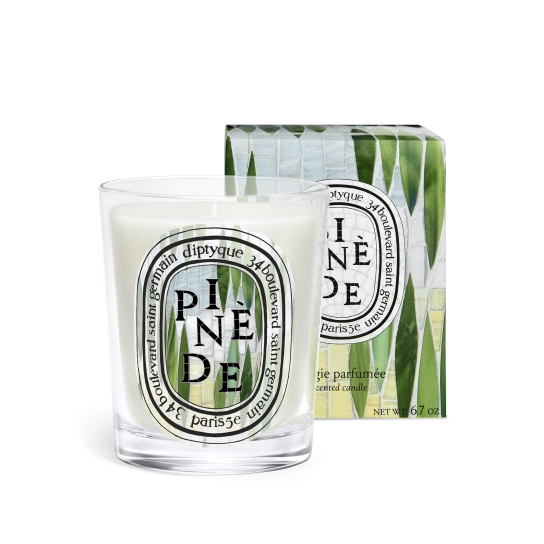 Diptyque Pinède (Pine Grove) Classic Candle