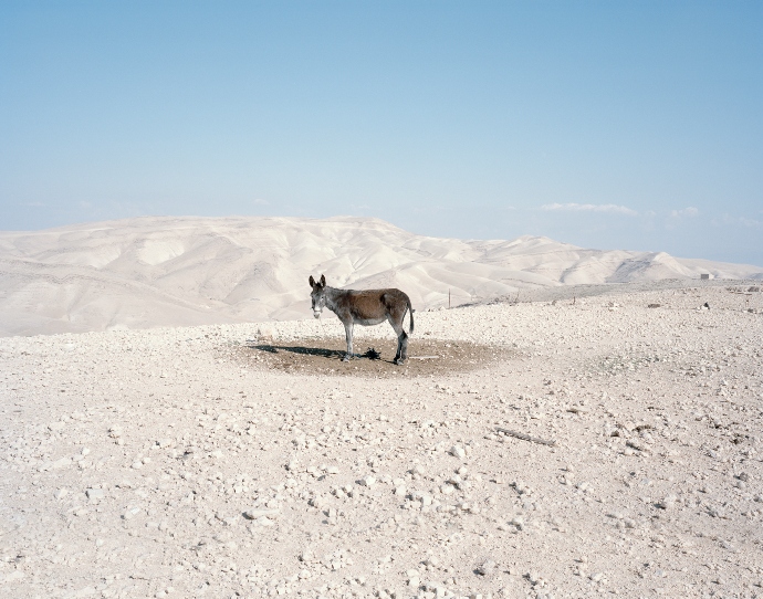 ΕΜΣΤ, Why look at animals