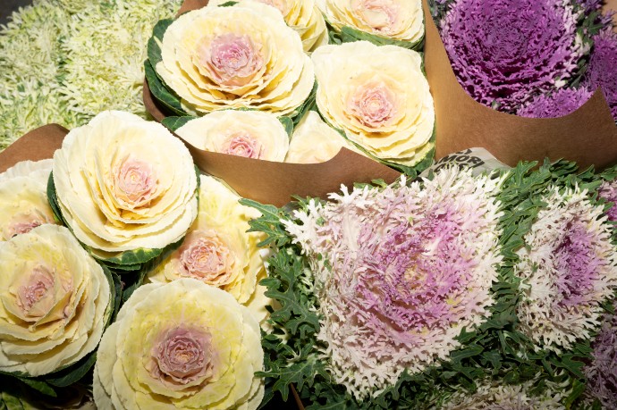 Άγιος Βαλεντίνος