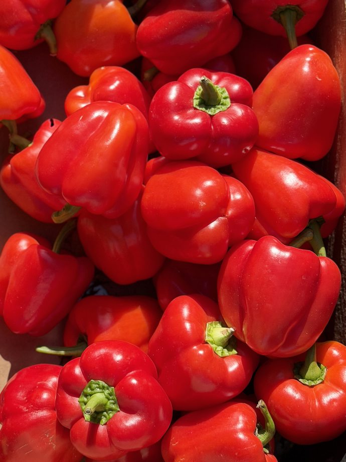 5 superfoods που λειτουργούν σαν φυσικά αντιοξειδωτικά. Αντίο γρίπη