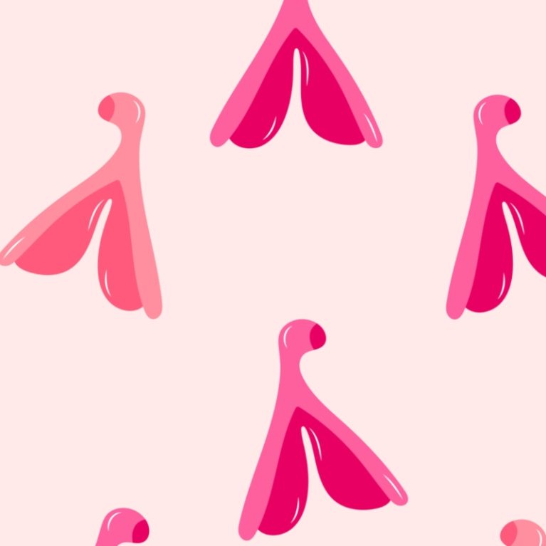 Κλειτορίδα: Η επιστήμη χαρτογράφησε πλήρως το «δέντρο» της ηδονής