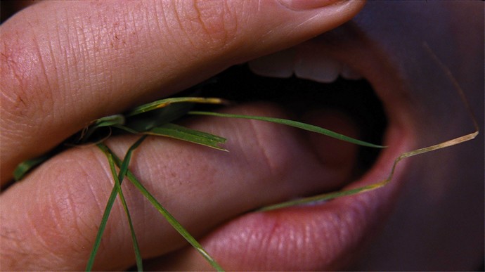 αυνανισμός ταινία σειρά 