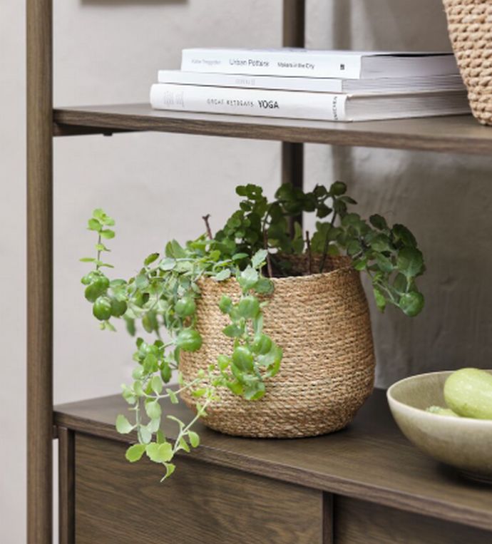 Κασπώ SEVERIN φυσικό